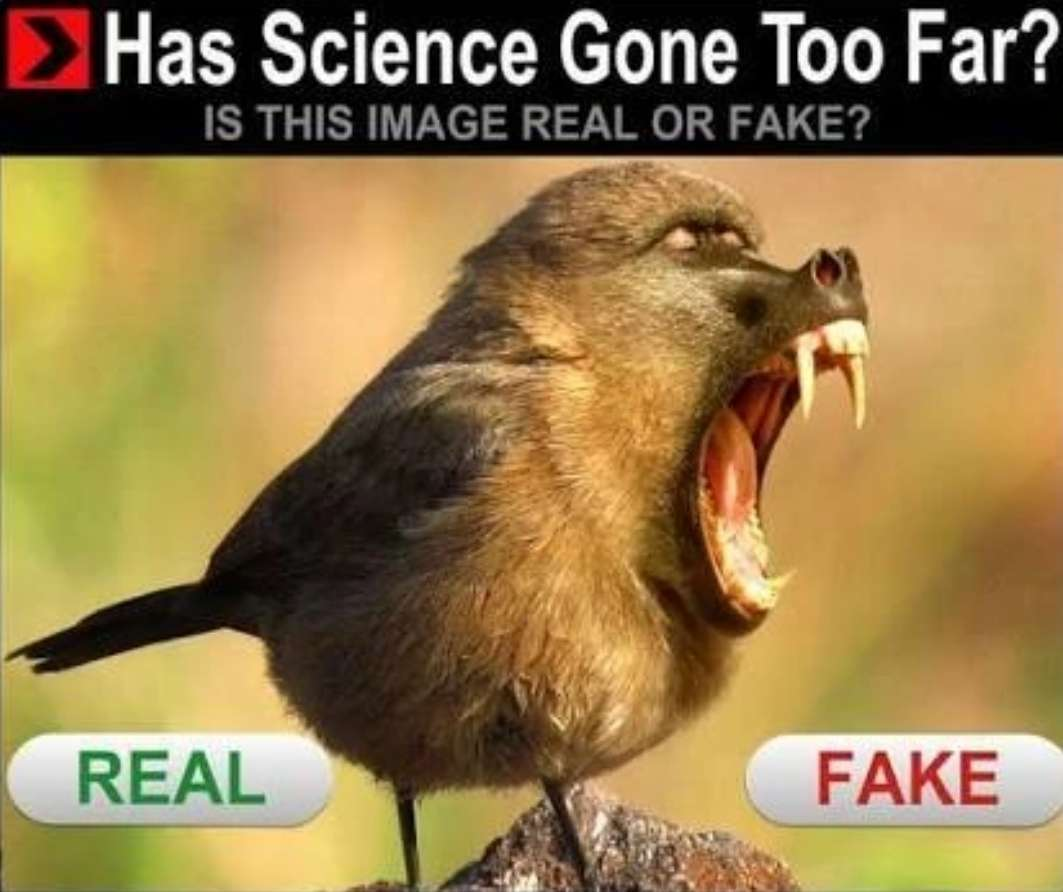 Has science gone to far? REAL OR FAKE.